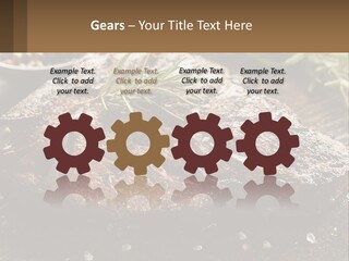 A Piece Of Steak With A Sprig Of Rosemary On Top Of It PowerPoint Template