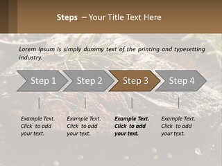 A Piece Of Steak With A Sprig Of Rosemary On Top Of It PowerPoint Template