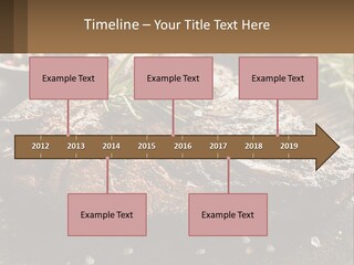 A Piece Of Steak With A Sprig Of Rosemary On Top Of It PowerPoint Template