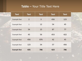 A Piece Of Steak With A Sprig Of Rosemary On Top Of It PowerPoint Template