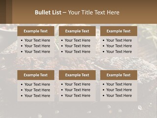 A Piece Of Steak With A Sprig Of Rosemary On Top Of It PowerPoint Template