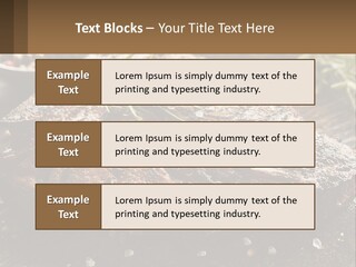 A Piece Of Steak With A Sprig Of Rosemary On Top Of It PowerPoint Template
