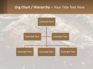 A Piece Of Steak With A Sprig Of Rosemary On Top Of It PowerPoint Template