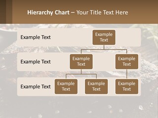 A Piece Of Steak With A Sprig Of Rosemary On Top Of It PowerPoint Template