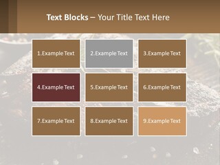 A Piece Of Steak With A Sprig Of Rosemary On Top Of It PowerPoint Template