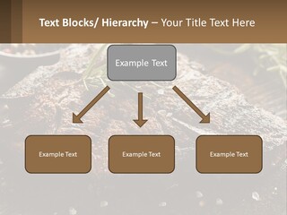 A Piece Of Steak With A Sprig Of Rosemary On Top Of It PowerPoint Template