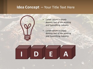 A Piece Of Steak With A Sprig Of Rosemary On Top Of It PowerPoint Template