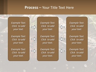 A Piece Of Steak With A Sprig Of Rosemary On Top Of It PowerPoint Template