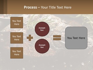 A Piece Of Steak With A Sprig Of Rosemary On Top Of It PowerPoint Template