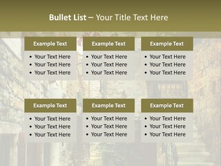 A Painting Of A Narrow Street With Flowers On It PowerPoint Template