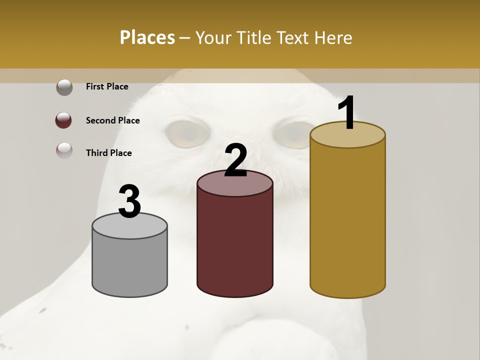 A White Owl Sitting On Top Of A Wooden Table PowerPoint Template