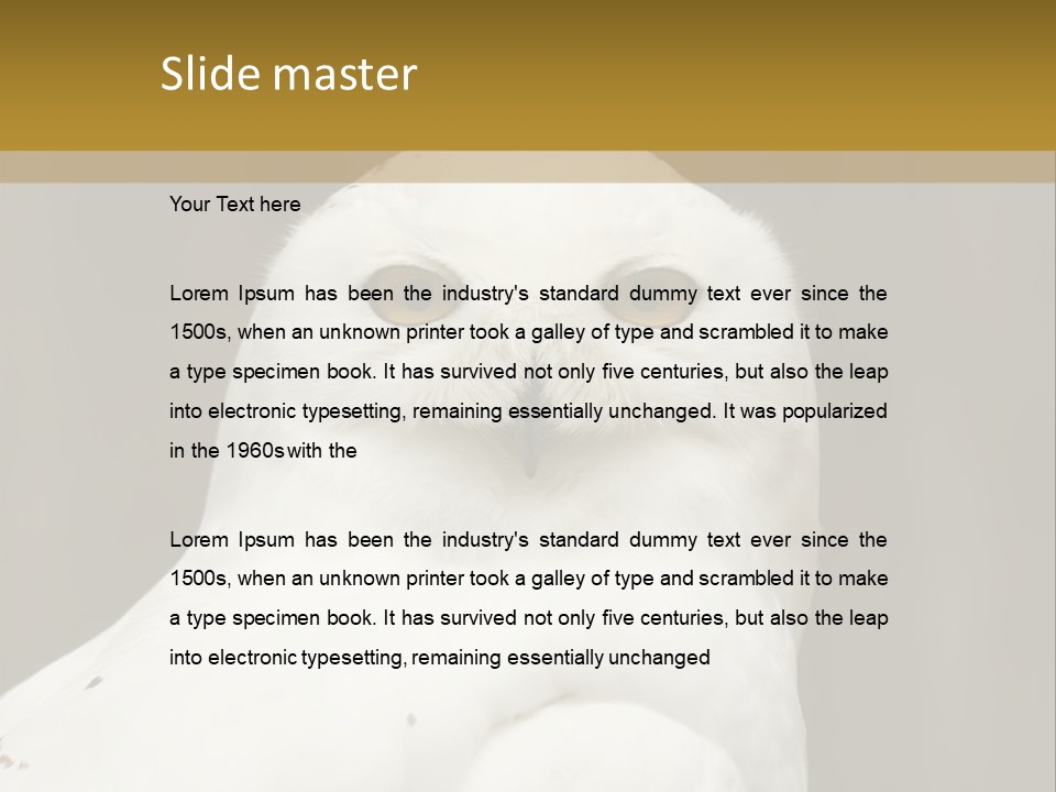 A White Owl Sitting On Top Of A Wooden Table PowerPoint Template