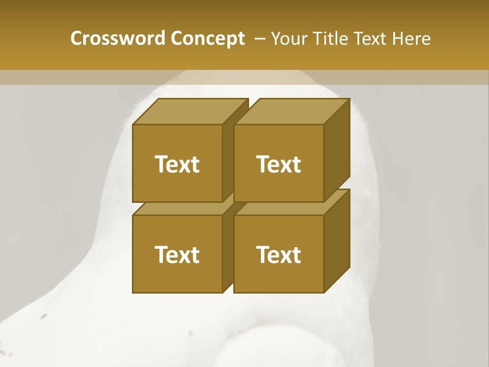 A White Owl Sitting On Top Of A Wooden Table PowerPoint Template