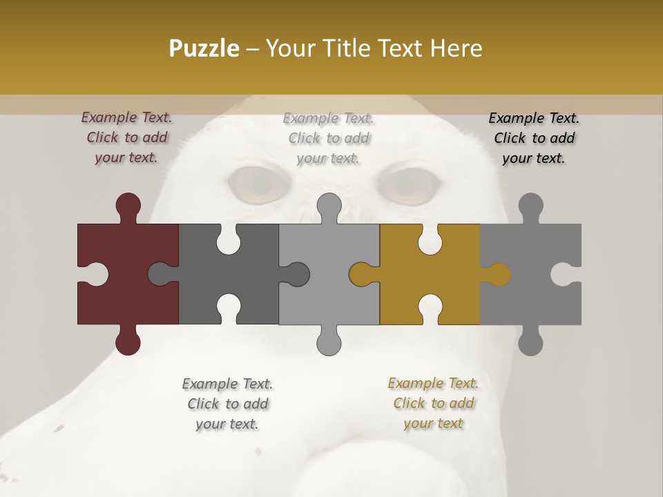 A White Owl Sitting On Top Of A Wooden Table PowerPoint Template