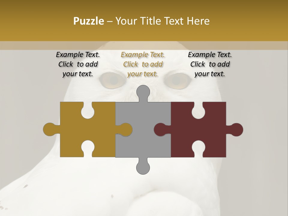 A White Owl Sitting On Top Of A Wooden Table PowerPoint Template