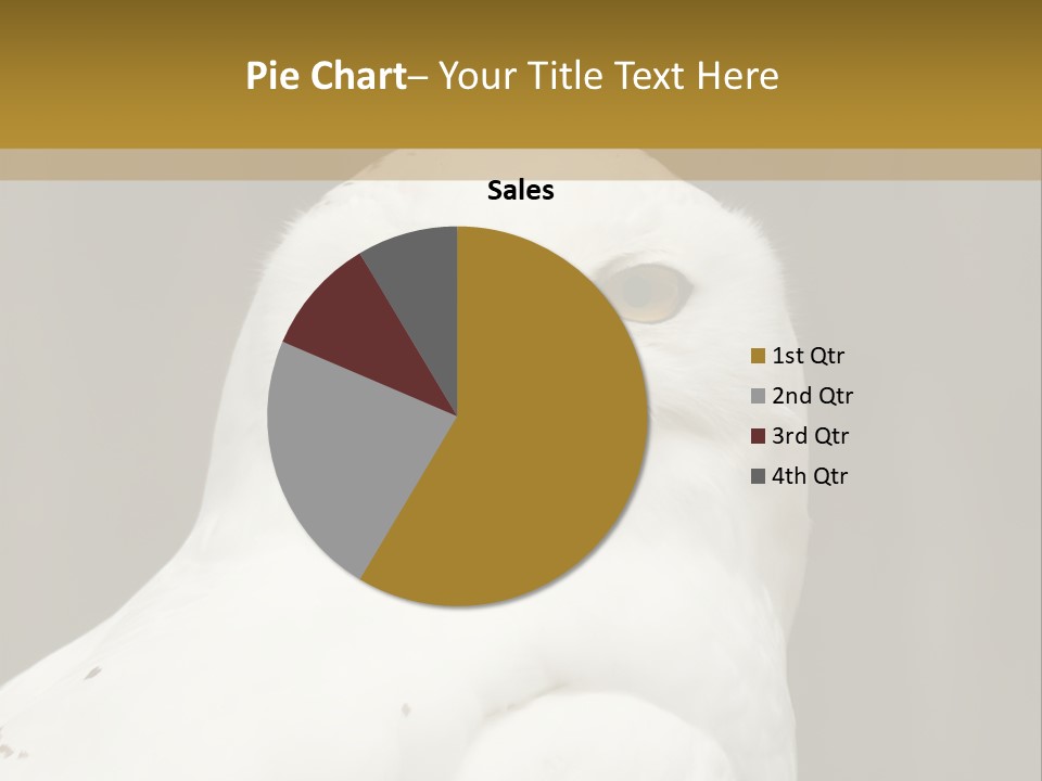 A White Owl Sitting On Top Of A Wooden Table PowerPoint Template