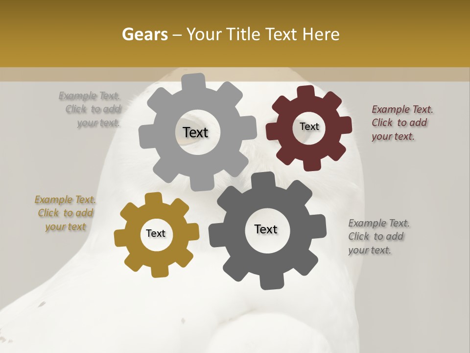 A White Owl Sitting On Top Of A Wooden Table PowerPoint Template