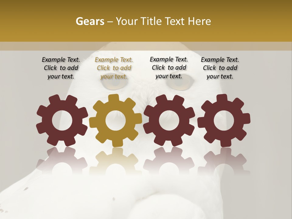 A White Owl Sitting On Top Of A Wooden Table PowerPoint Template