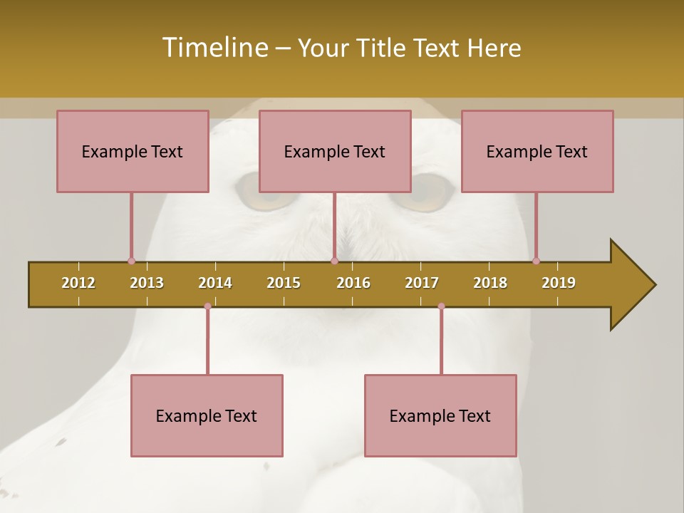 A White Owl Sitting On Top Of A Wooden Table PowerPoint Template