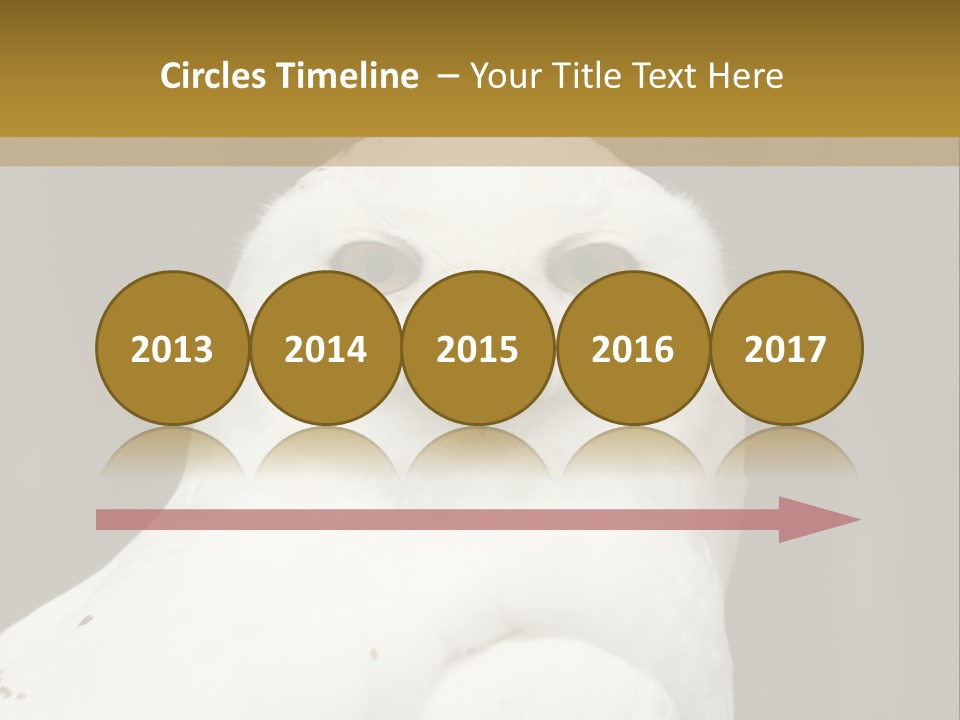 A White Owl Sitting On Top Of A Wooden Table PowerPoint Template