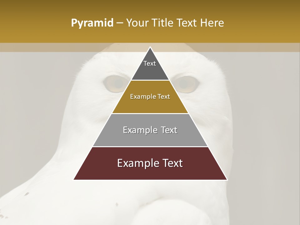 A White Owl Sitting On Top Of A Wooden Table PowerPoint Template