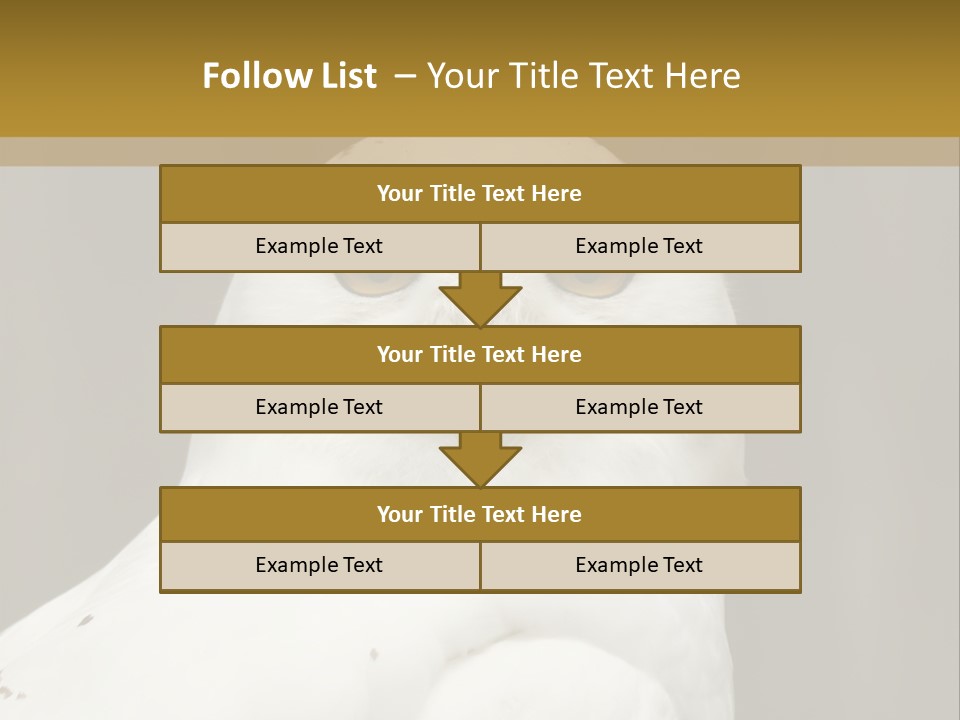 A White Owl Sitting On Top Of A Wooden Table PowerPoint Template