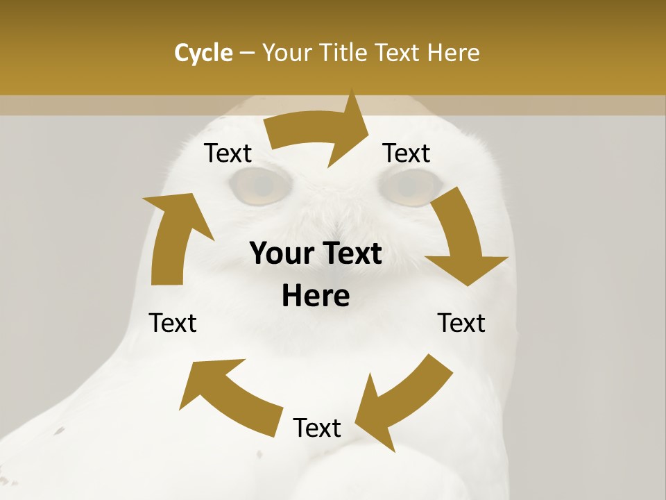 A White Owl Sitting On Top Of A Wooden Table PowerPoint Template
