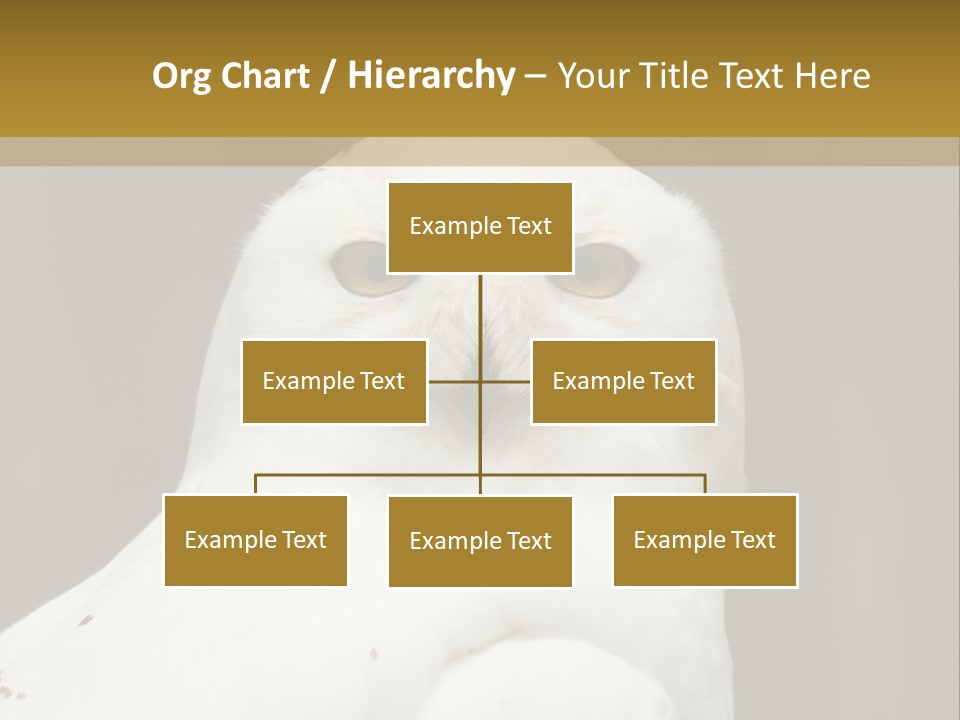 A White Owl Sitting On Top Of A Wooden Table PowerPoint Template