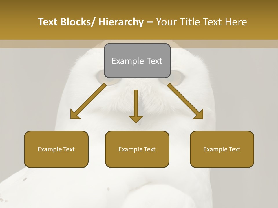 A White Owl Sitting On Top Of A Wooden Table PowerPoint Template