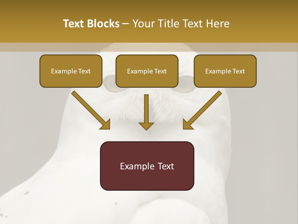 A White Owl Sitting On Top Of A Wooden Table PowerPoint Template