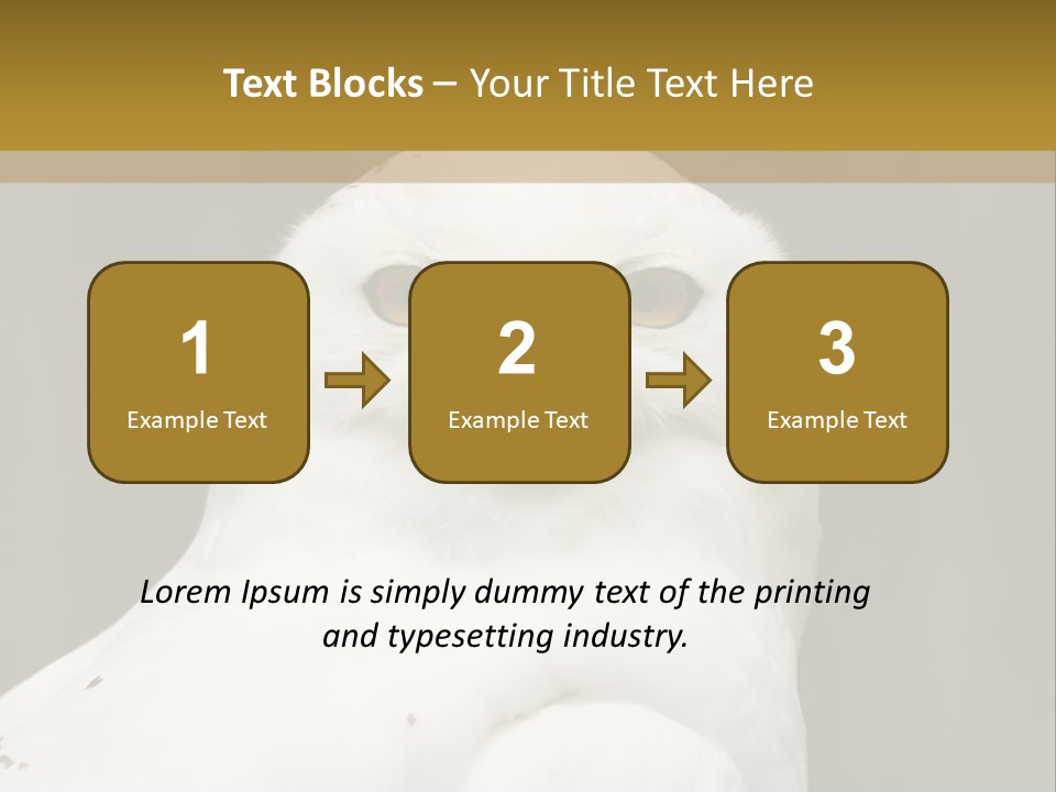 A White Owl Sitting On Top Of A Wooden Table PowerPoint Template