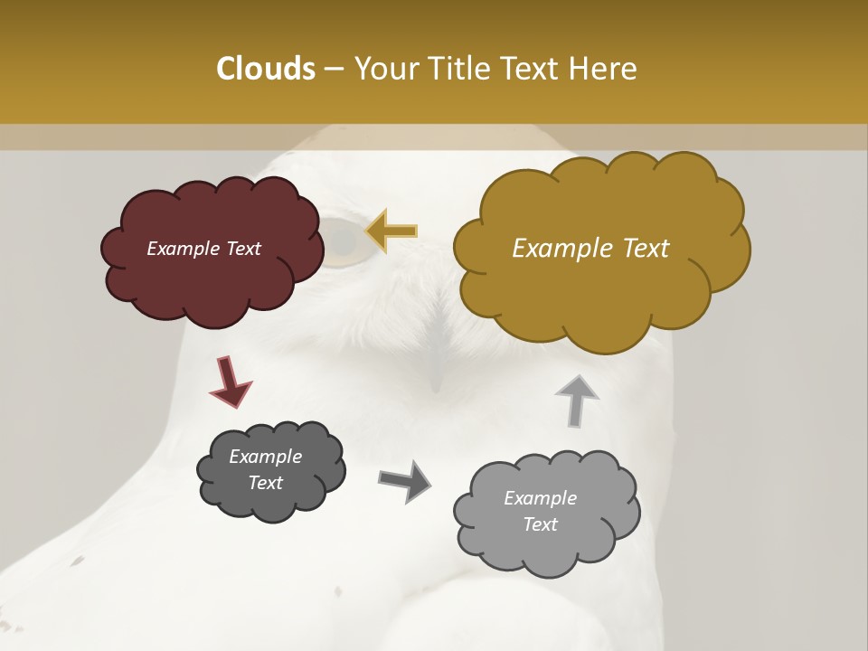 A White Owl Sitting On Top Of A Wooden Table PowerPoint Template