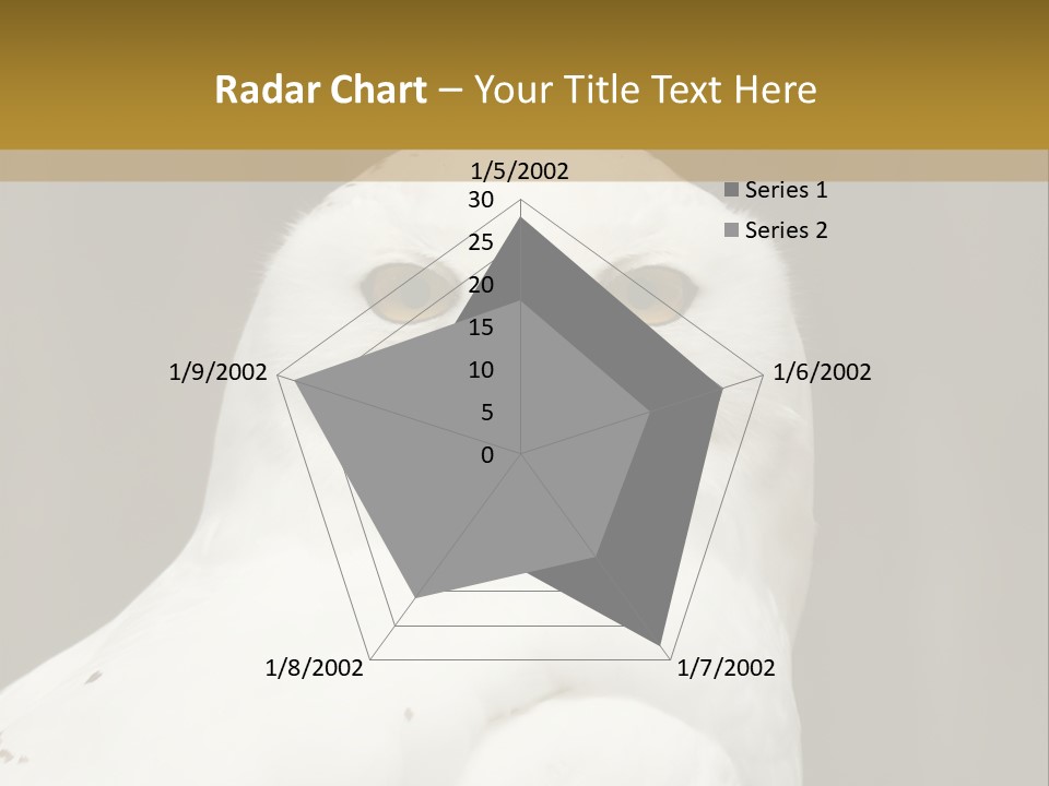 A White Owl Sitting On Top Of A Wooden Table PowerPoint Template