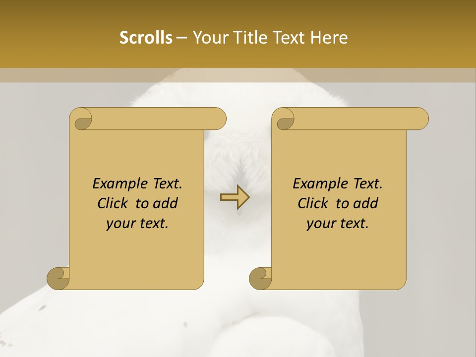 A White Owl Sitting On Top Of A Wooden Table PowerPoint Template