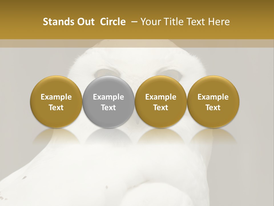 A White Owl Sitting On Top Of A Wooden Table PowerPoint Template