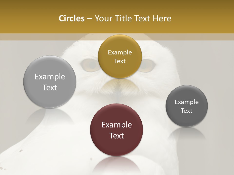 A White Owl Sitting On Top Of A Wooden Table PowerPoint Template