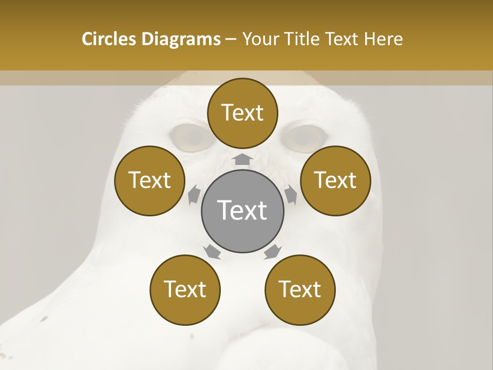 A White Owl Sitting On Top Of A Wooden Table PowerPoint Template