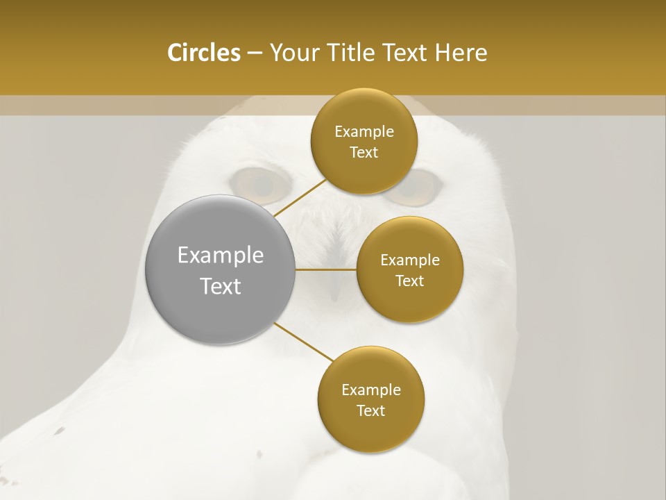 A White Owl Sitting On Top Of A Wooden Table PowerPoint Template