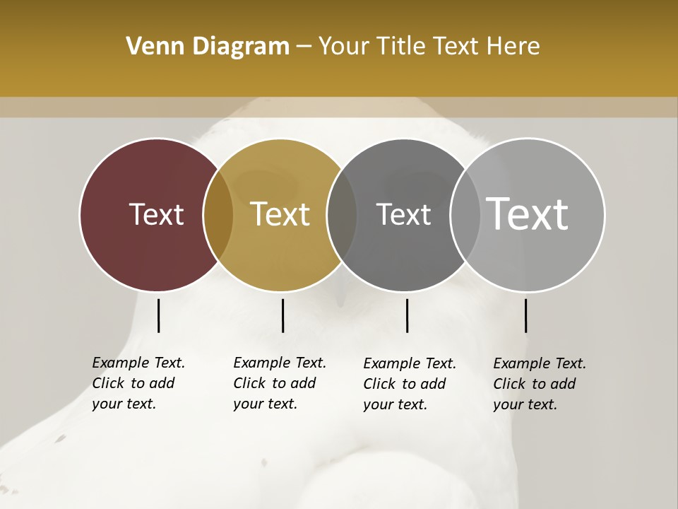 A White Owl Sitting On Top Of A Wooden Table PowerPoint Template