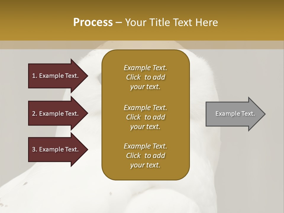 A White Owl Sitting On Top Of A Wooden Table PowerPoint Template