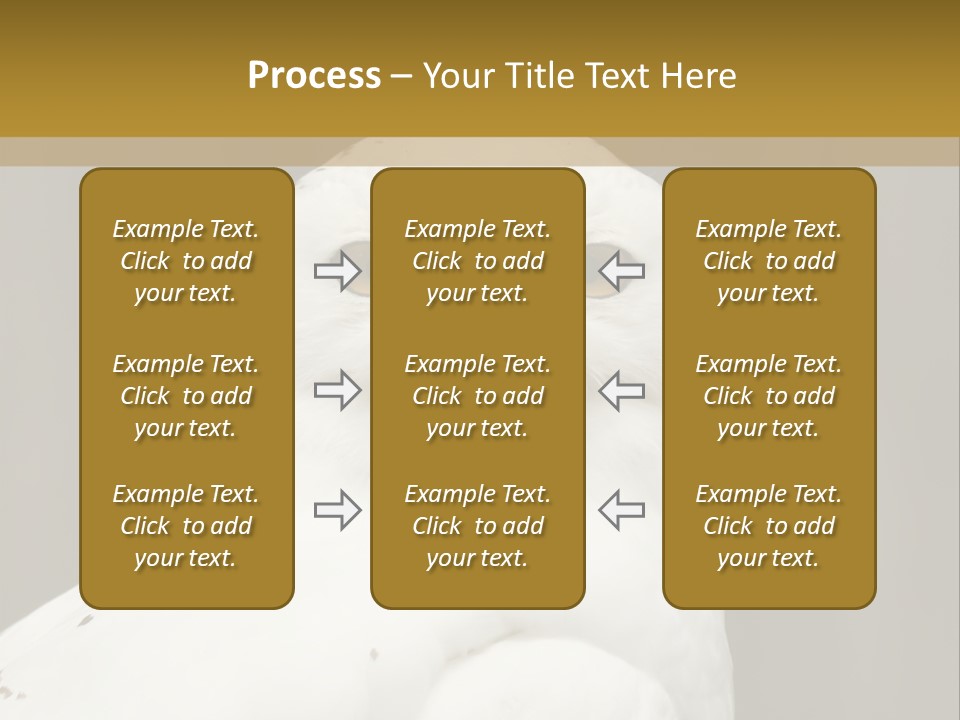 A White Owl Sitting On Top Of A Wooden Table PowerPoint Template