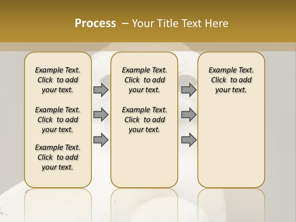A White Owl Sitting On Top Of A Wooden Table PowerPoint Template