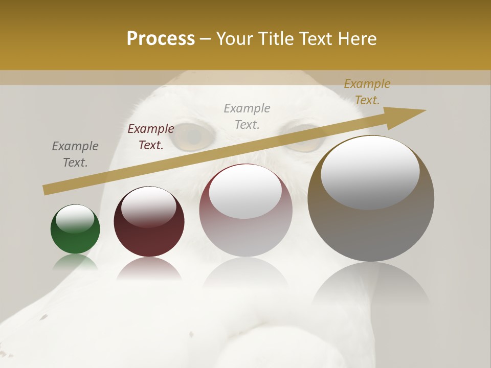 A White Owl Sitting On Top Of A Wooden Table PowerPoint Template