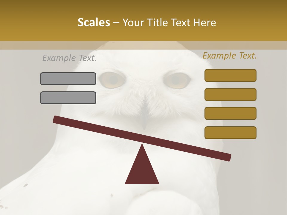 A White Owl Sitting On Top Of A Wooden Table PowerPoint Template
