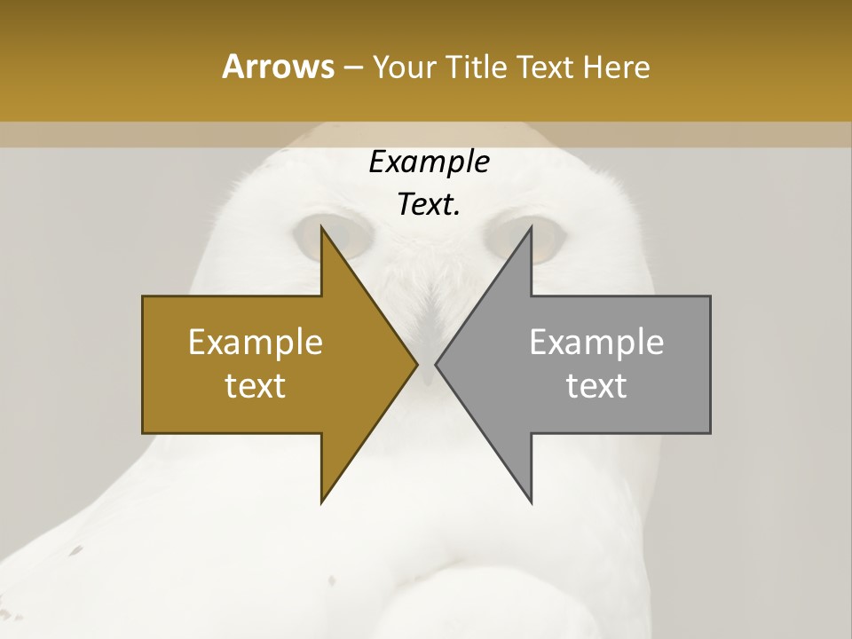 A White Owl Sitting On Top Of A Wooden Table PowerPoint Template