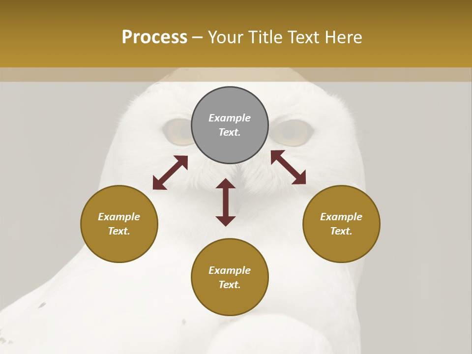 A White Owl Sitting On Top Of A Wooden Table PowerPoint Template