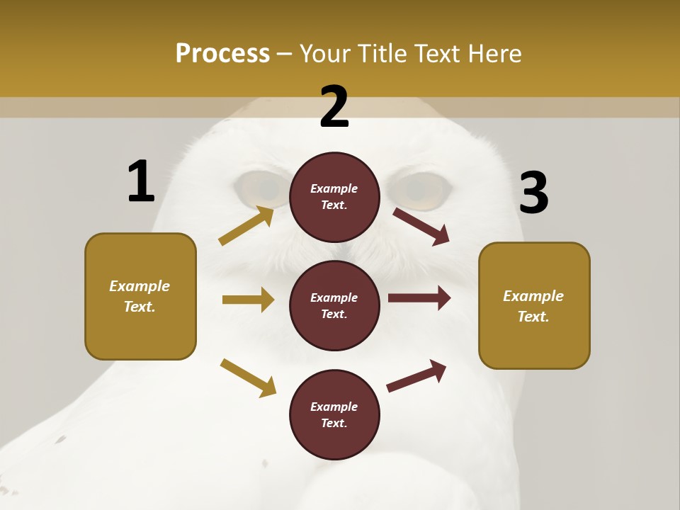 A White Owl Sitting On Top Of A Wooden Table PowerPoint Template