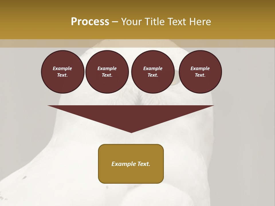 A White Owl Sitting On Top Of A Wooden Table PowerPoint Template