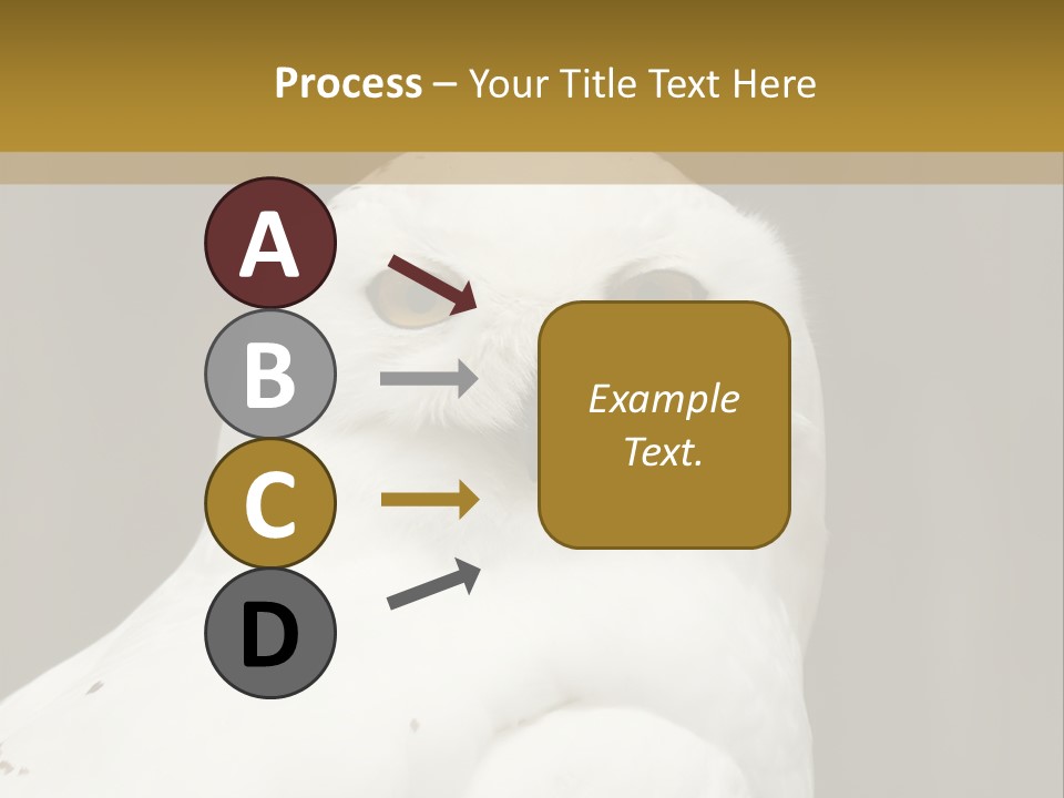 A White Owl Sitting On Top Of A Wooden Table PowerPoint Template