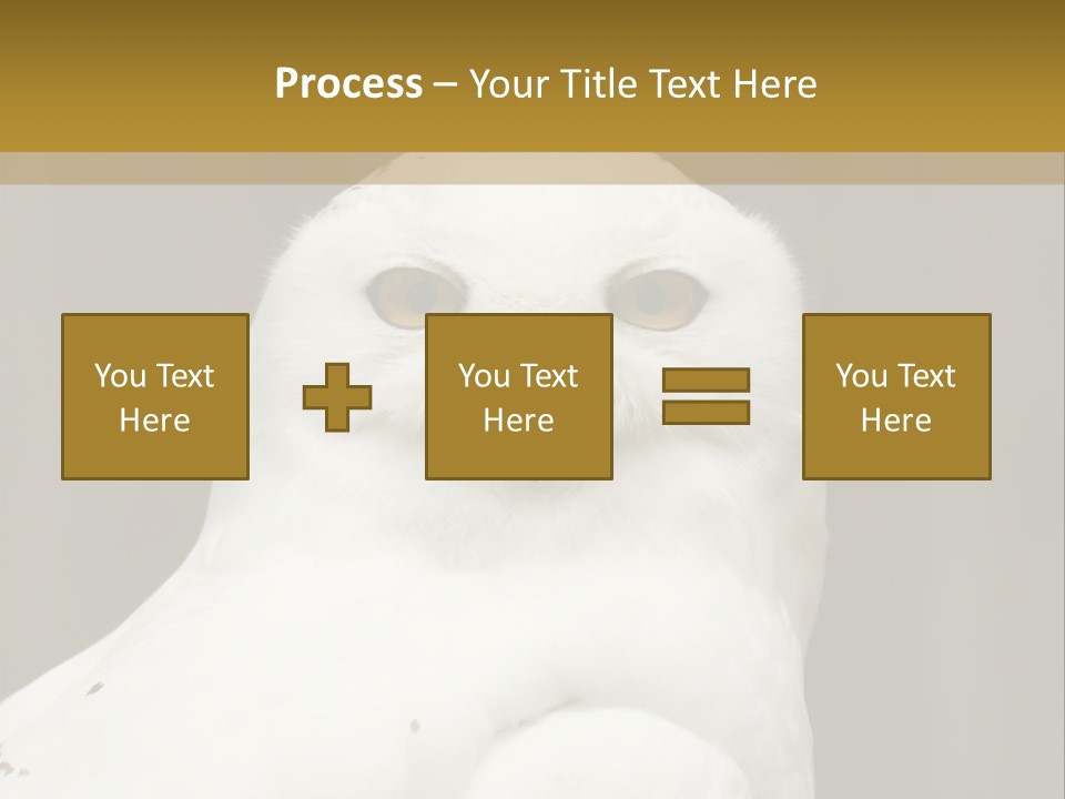 A White Owl Sitting On Top Of A Wooden Table PowerPoint Template